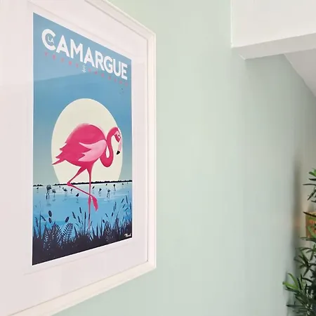 L'eclat De Camargue - Grand T2 Renove 49 M2, Wifi, Centre & A 200m Apartment