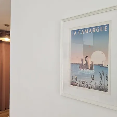 L'eclat De Camargue - Grand T2 Renove 49 M2, Wifi, Centre & A 200m