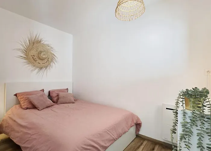 شقة L'eclat De Camargue - Grand T2 Renove 49 M2, Wifi, Centre & A 200m لا غراند موت
